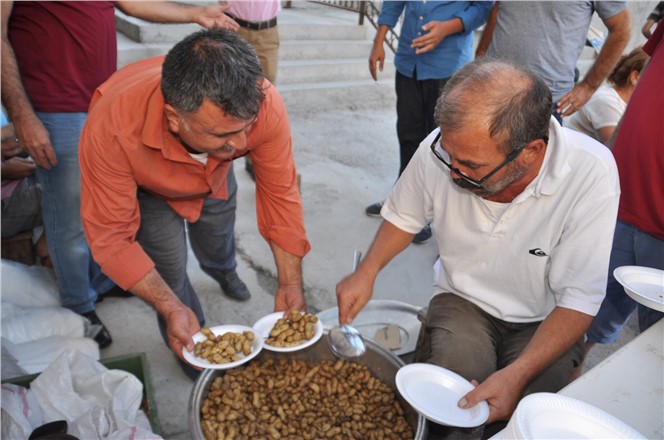 Fıstık Haşlama