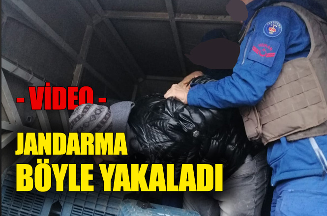 Narenciye Sandıklarının Arasında Gizlenen şahıs Böyle Yakalandı