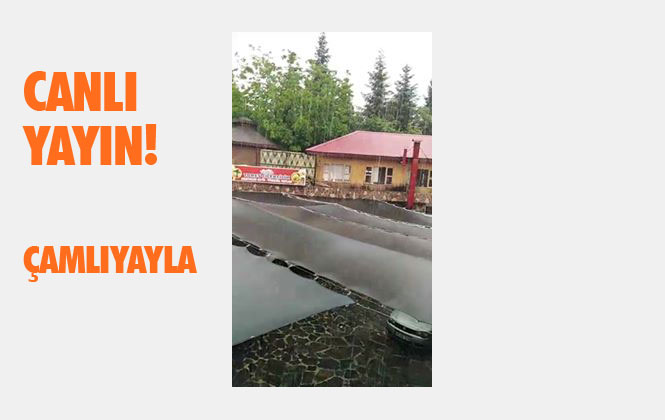 Canlı Yayın: An İtibari İle Çamlıyayla'da Yağmur!