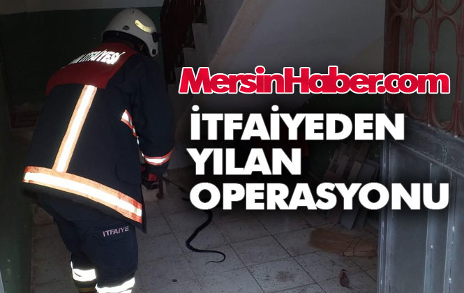 İtfaiye Ekiplerinden Erdemli'de Yılan Operasyonu