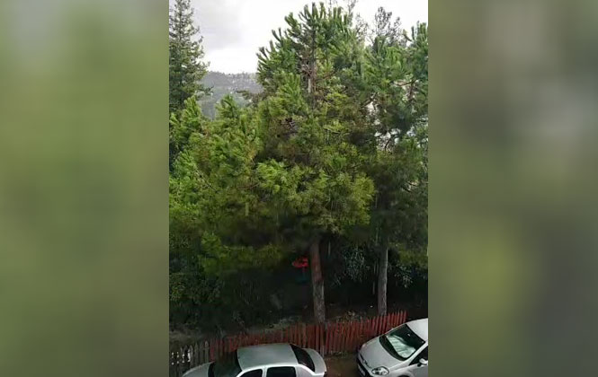 An İtibari İle Mersin Çamlıyayla'da Yağmur