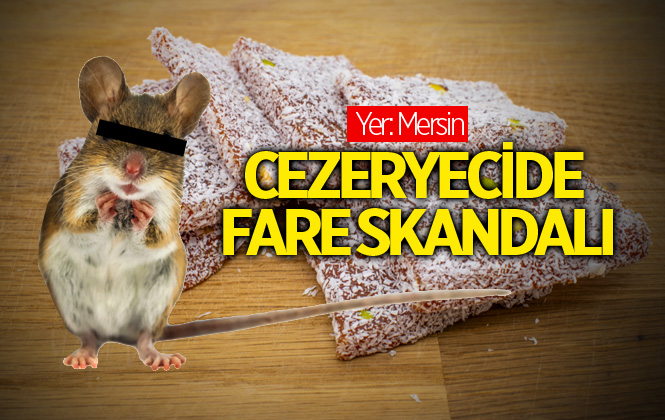 Mersin’de Cezeryecide Şok Eden Görüntü
