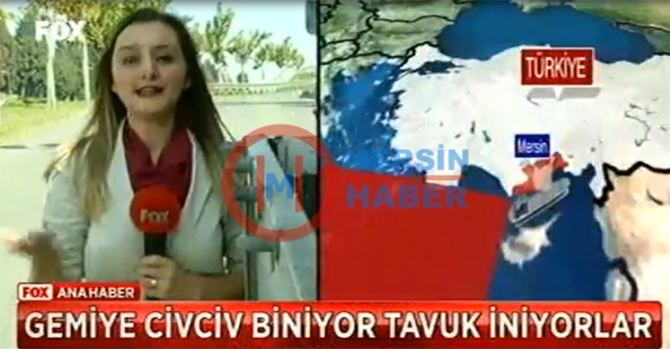 Mersin Bu Kez Kaçak Tavukla Ulusal Gündemde