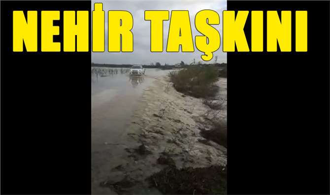 Mersin'de Berdan Nehri Taştı, Ekili Tarım Arazileri Sular Altında